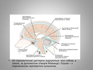 • Усі підпавутинові цистерни зєднуються між собою, а
також, за допомогою отворів Мажанді і Лушки – з
порожниною чертвертого шлуночка. 8
 