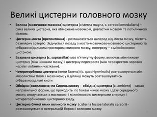 Великі цистерни головного мозку
• Велика (мозочково-мозкова) цистерна (cisterna magna, c. cerebellomedullaris) –
сама велика цистерна, яка обмежена мозочком, довгастим мозком та потиличною
кісткою.
• Цистерна моста (препонтинна) - розташовується наперед від моста мозку, містить
базилярну артерію. Зєднується позаду з мосто-мозочково-мозковою цистерною та
субарахноідальним простором спинного мозку, попереду – з міжніжковою
цистрною.
• Базальна цистерна (c. suprasellar) має п'ятикутну форму, включає міжніжкову
цистерну (між ніжками мозку) і цистерну перехреста (між перехрестом зорових
нервів і лобними частками).
• Чотиригорбкова цистерна (вени Галена) (c. quadrigeminalis) розташовується між
мозолистим тілом і мозочком; у її ділянці можуть розташовуватись
субарахноідальні кисти
• Обвідна (охоплююча; по Синельникову - обхідна) цистерна (c. ambient) - канал
неправильної форми, що проходить по бокам ніжок мозку і даху середнього
мозку; сполучається з мостовою і міжніжковою цистернами спереду і
чотирегорбиковою цистерною ззаду.
• Цистерна бічної ямки великого мозку (cisterna fossae lateralis cerebri) -
розташовується в латеральній борозні великого мозку.
9
 