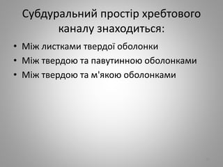 Субдуральний простiр хребтового
каналу знаходиться:
• Мiж листками твердої оболонки
• Мiж твердою та павутинною оболонками
• Мiж твердою та м'якою оболонками
91
 
