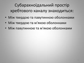 Субарахноїдальний простiр
хребтового каналу знаходиться:
• Мiж твердою та павутинною оболонками
• Мiж твердою та м'якою оболонками
• Мiж павутинною та м'якою оболонками
92
 