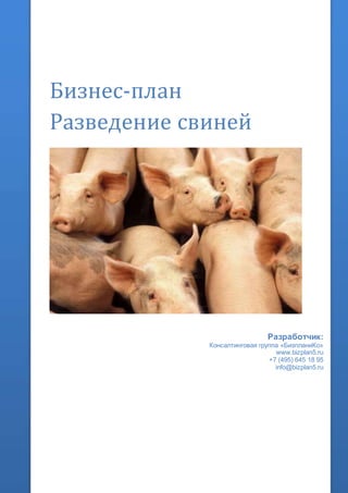 Бизнес-план
Разведение свиней
Разработчик:
Консалтинговая группа «БизпланиКо»
www.bizplan5.ru
+7 (495) 645 18 95
info@bizplan5.ru
 
