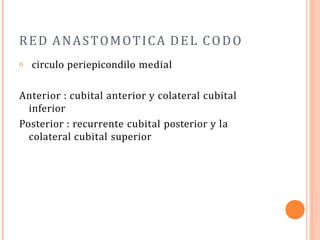 RED ANASTOMOTICA DEL CODO
𝗈 circulo periepicondilo medial
Anterior : cubital anterior y colateral cubital
inferior
Posterior : recurrente cubital posterior y la
colateral cubital superior
 
