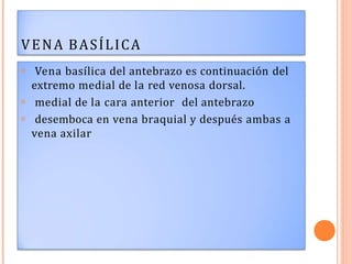 VENA BASÍLICA
𝗈
𝗈
𝗈
Vena basílica del antebrazo es continuación del
extremo medial de la red venosa dorsal.
medial de la cara anterior del antebrazo
desemboca en vena braquial y después ambas a
vena axilar
 