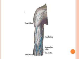 13-160624053951.pptx