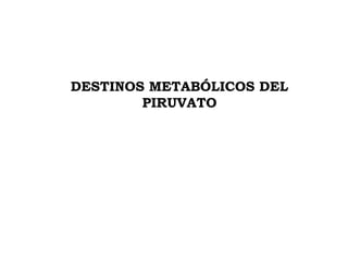 DESTINOS METABÓLICOS DEL
PIRUVATO
 