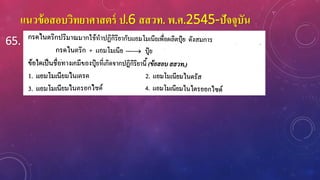 แนวข้อสอบวิทยาศาสตร์ ป.6 สสวท. พ.ศ.2545-ปัจจุบัน
65.
 