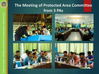 The Meeting of Protected Area Committee
from 3 PAs
NationalParks,WildlifeandPlantConservationDepartment
 
