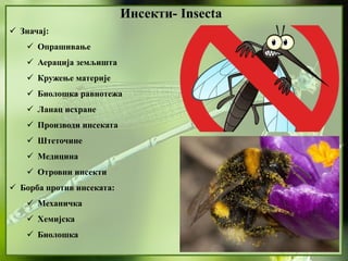 13. Insekti | PPTX