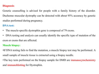 Diagnosis:
Genetic counselling is advised for people with a family history of the disorder.
Duchenne muscular dystrophy can be detected with about 95% accuracy by genetic
studies performed during pregnancy.
DNA test:
• The muscle-specific dystrophin gene is composed of 79 exons.
• DNA testing and analysis can usually identify the specific type of mutation of the
exon or exons that are affected.
Muscle biopsy:
•If DNA testing fails to find the mutation, a muscle biopsy test may be performed. A
small sample of muscle tissue is extracted using a biopsy needle.
•The key tests performed on the biopsy sample for DMD are immunocytochemistry
and immunoblotting for Dystrophin.
 