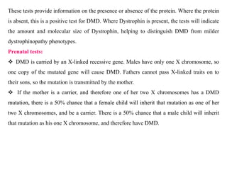These tests provide information on the presence or absence of the protein. Where the protein
is absent, this is a positive test for DMD. Where Dystrophin is present, the tests will indicate
the amount and molecular size of Dystrophin, helping to distinguish DMD from milder
dystrophinopathy phenotypes.
Prenatal tests:
 DMD is carried by an X-linked recessive gene. Males have only one X chromosome, so
one copy of the mutated gene will cause DMD. Fathers cannot pass X-linked traits on to
their sons, so the mutation is transmitted by the mother.
 If the mother is a carrier, and therefore one of her two X chromosomes has a DMD
mutation, there is a 50% chance that a female child will inherit that mutation as one of her
two X chromosomes, and be a carrier. There is a 50% chance that a male child will inherit
that mutation as his one X chromosome, and therefore have DMD.
 