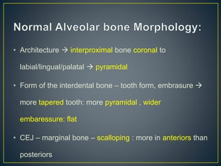 • Architecture  interproximal bone coronal to
labial/lingual/palatal  pyramidal
• Form of the interdental bone – tooth form, embrasure 
more tapered tooth: more pyramidal , wider
embaressure: flat
• CEJ – marginal bone – scalloping : more in anteriors than
posteriors
 