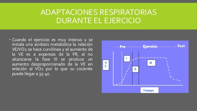 Adaptaciones pulmonares durante el ejercicio
