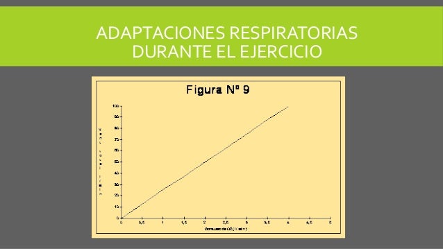 Adaptaciones pulmonares durante el ejercicio