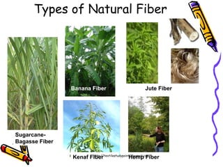 Types of Natural Fiber
Banana Fiber
Hemp Fiber
Jute Fiber
Kenaf Fiber
Sugarcane-
Bagasse Fiber
http://textilestudypoint.blogspot.com/
 