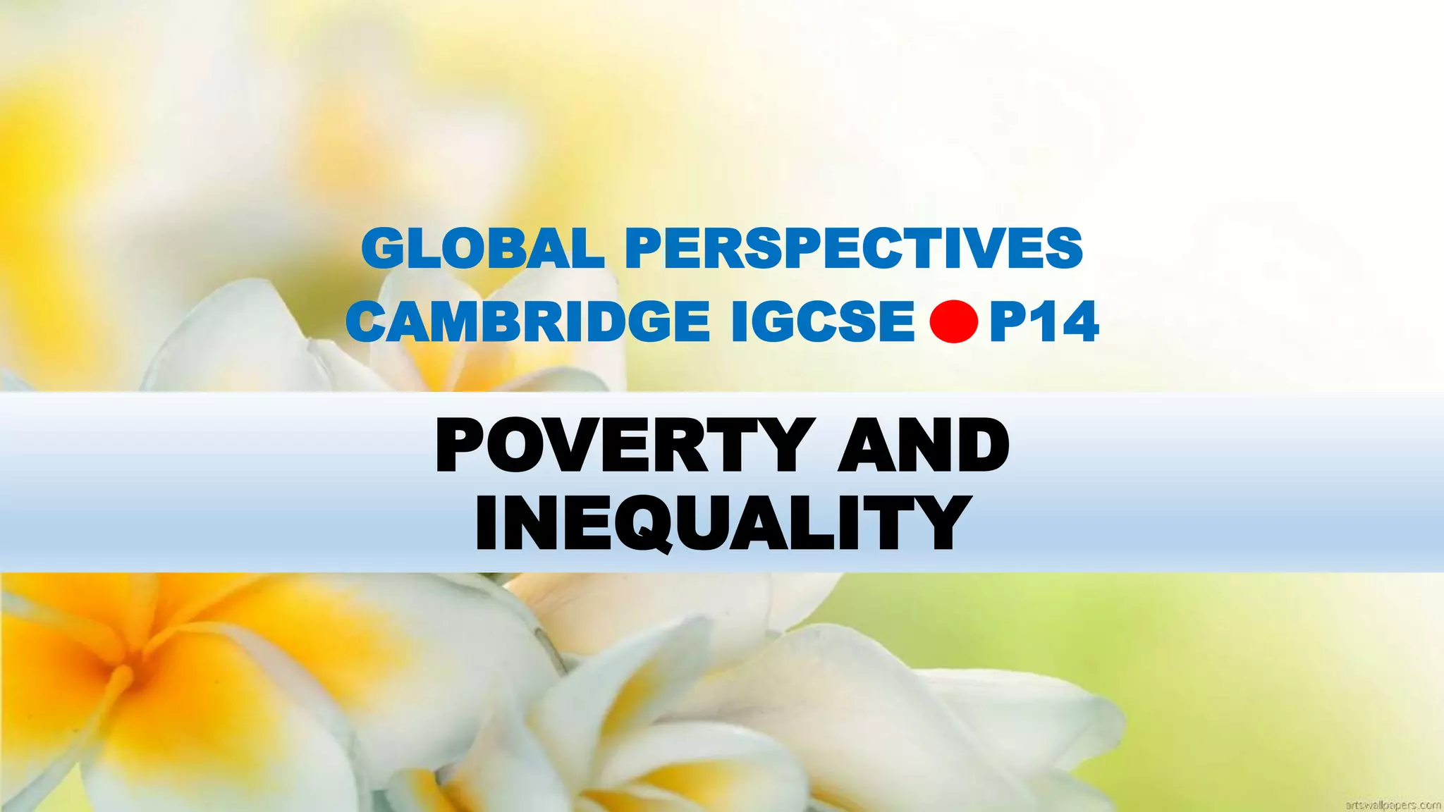 GLOBAL PERSPECTIVE CAMBRIDGE IGCSE: POVERTY AND INEQUALITY | PPTX