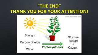 “THE END”
THANK YOU FOR YOUR ATTENTION!
 