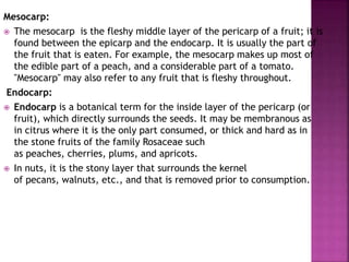 Mesocarp:
 The mesocarp is the fleshy middle layer of the pericarp of a fruit; it is
found between the epicarp and the endocarp. It is usually the part of
the fruit that is eaten. For example, the mesocarp makes up most of
the edible part of a peach, and a considerable part of a tomato.
"Mesocarp" may also refer to any fruit that is fleshy throughout.
Endocarp:
 Endocarp is a botanical term for the inside layer of the pericarp (or
fruit), which directly surrounds the seeds. It may be membranous as
in citrus where it is the only part consumed, or thick and hard as in
the stone fruits of the family Rosaceae such
as peaches, cherries, plums, and apricots.
 In nuts, it is the stony layer that surrounds the kernel
of pecans, walnuts, etc., and that is removed prior to consumption.
 