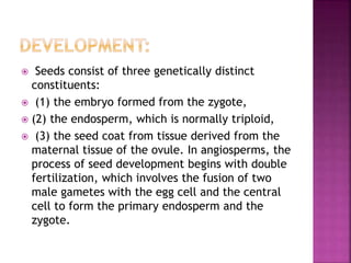  Seeds consist of three genetically distinct
constituents:
 (1) the embryo formed from the zygote,
 (2) the endosperm, which is normally triploid,
 (3) the seed coat from tissue derived from the
maternal tissue of the ovule. In angiosperms, the
process of seed development begins with double
fertilization, which involves the fusion of two
male gametes with the egg cell and the central
cell to form the primary endosperm and the
zygote.
 