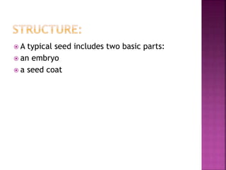  A typical seed includes two basic parts:
 an embryo
 a seed coat
 