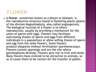  A flower, sometimes known as a bloom or blossom, is
the reproductive structure found in flowering plants (plants
of the division Magnoliophyta, also called angiosperms).
The biological function of a flower is to effect
reproduction, usually by providing a mechanism for the
union of sperm with eggs. Flowers may facilitate
outcrossing (fusion of sperm and eggs from different
individuals in a population) or allow selfing (fusion of sperm
and egg from the same flower). Some flowers
produce diaspores without fertilization (parthenocarpy).
Flowers contain sporangia and are the site where
gametophytes develop. Flowers give rise to fruit and seeds.
Many flowers have evolved to be attractive to animals, so
as to cause them to be vectors for the transfer of pollen.
 