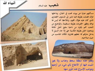 ‫شعيب‬‫السالم‬ ‫عليه‬
‫مساكنهم‬‫عبارة‬‫عن‬‫بيوت‬‫حنتت‬‫يف‬،‫اجلبال‬‫وداخلها‬
‫غرف‬‫فصلت‬‫يقه‬‫ر‬‫بط‬‫فنيه‬‫تشري‬‫إىل‬‫املس‬‫توى‬‫احلضاري‬
‫الذي‬‫كان‬‫عليه‬‫هؤالء‬،‫القوم‬‫واملالحظ‬‫أهنا‬‫لي‬‫س‬‫هلا‬
‫نوافذ‬‫وتظهر‬‫احلفرايت‬‫يقه‬‫ر‬‫بط‬،‫مستقيمة‬‫والواضح‬‫من‬
‫النحت‬‫أهنم‬‫أيتون‬‫من‬‫انحية‬‫سفح‬‫اجلبل‬‫املا‬‫ئلة‬
‫وينحتون‬‫اجلبل‬‫بطريقه‬‫عكسية‬‫حىت‬‫إذا‬‫ج‬‫اء‬‫السيل‬‫ال‬
‫يدخل‬‫هلم‬‫ز‬‫منا‬‫مما‬‫جعلهم‬‫خيتارون‬‫املكان‬‫املنا‬‫سب‬‫من‬
‫حيث‬‫صالحيته‬.
‫وتعترب‬‫هذه‬‫منطقة‬‫سخط‬‫وعذاب‬‫وال‬‫جي‬‫وز‬
‫املبيت‬‫فيها‬‫أو‬‫االنتفاع‬‫أبي‬‫شيء‬‫م‬‫ن‬‫أرضها‬
‫ويتوجب‬‫اع‬‫ر‬‫اإلس‬‫عند‬‫املرور‬‫منها‬.
‫أنبياءَهللا‬
 