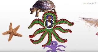 learn sea animals names and sounds water animals seahorse octopus seashell starfish