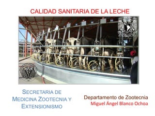 Departamento de Zootecnia
Miguel Ángel Blanco Ochoa
CALIDAD SANITARIA DE LA LECHE
SECRETARIA DE
MEDICINA ZOOTECNIA Y
EXTENSIONISMO
 
