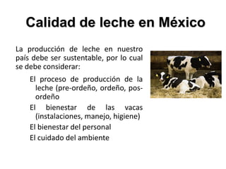 Calidad de leche en México
La producción de leche en nuestro
país debe ser sustentable, por lo cual
se debe considerar:
El proceso de producción de la
leche (pre-ordeño, ordeño, pos-
ordeño
El bienestar de las vacas
(instalaciones, manejo, higiene)
El bienestar del personal
El cuidado del ambiente
 