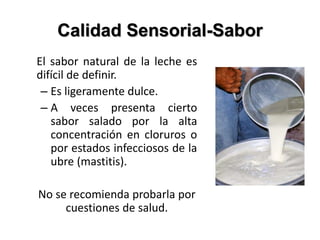 Calidad Sensorial-Sabor
El sabor natural de la leche es
difícil de definir.
– Es ligeramente dulce.
– A veces presenta cierto
sabor salado por la alta
concentración en cloruros o
por estados infecciosos de la
ubre (mastitis).
No se recomienda probarla por
cuestiones de salud.
 