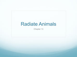 Radiate Animals
Chapter 13
 