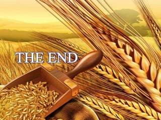 13. a look into matthew 5.6