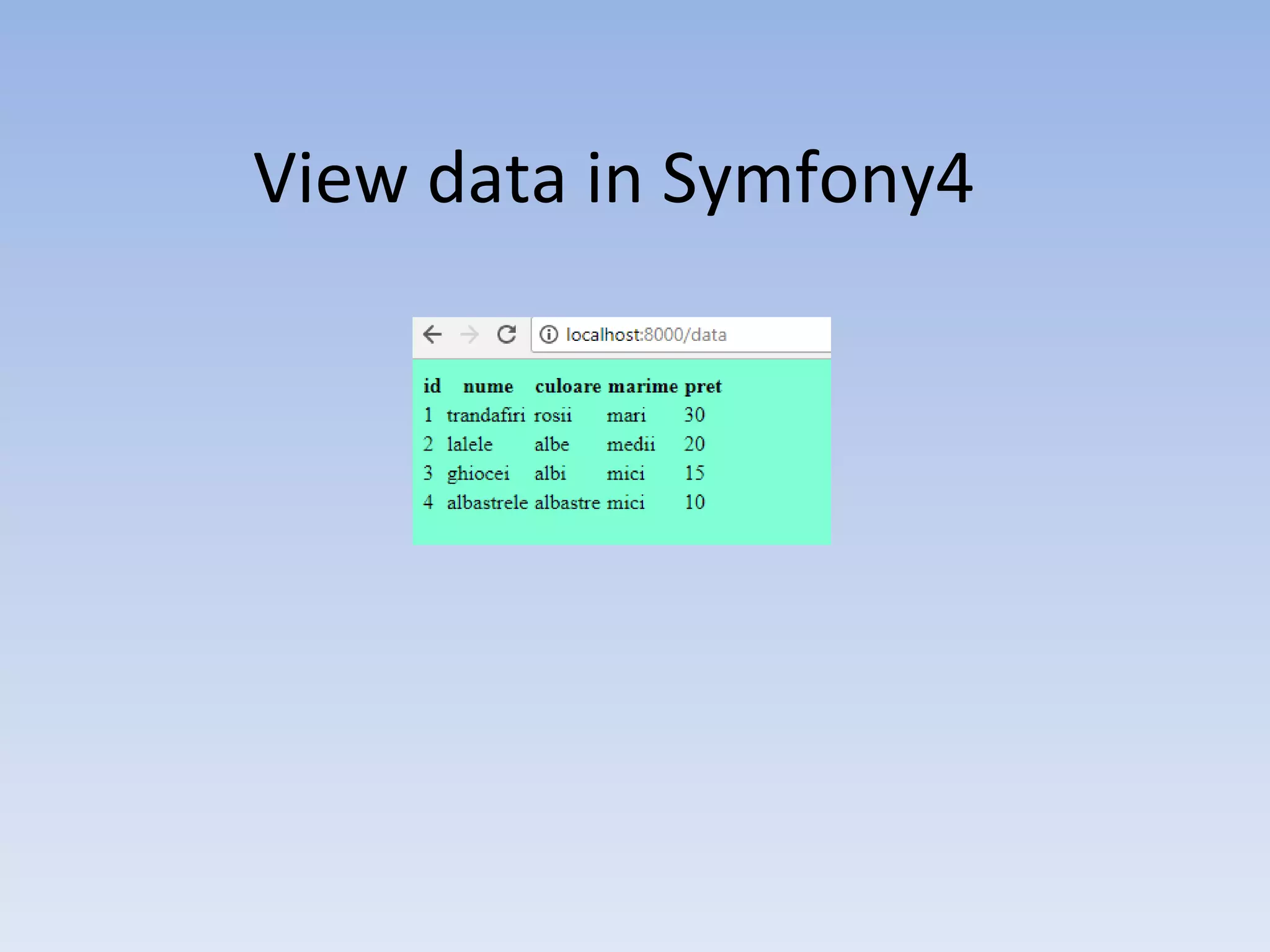 View data in Symfony4