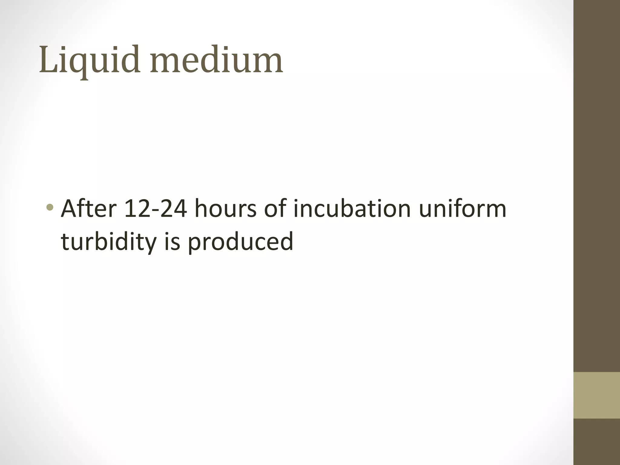 Liquid medium
• After 12-24 hours of incubation uniform
turbidity is produced
 