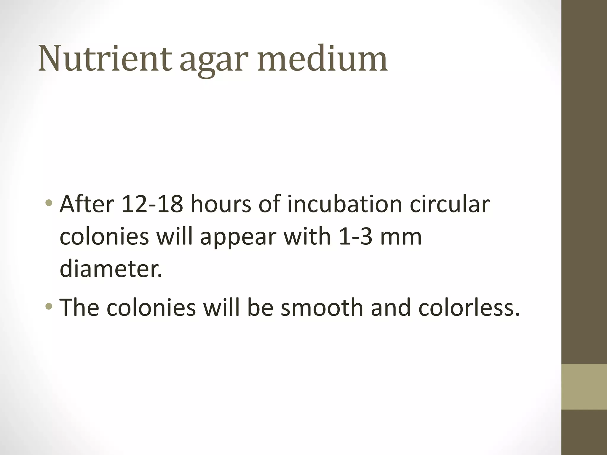 Nutrient agar medium
• After 12-18 hours of incubation circular
colonies will appear with 1-3 mm
diameter.
• The colonies will be smooth and colorless.
 