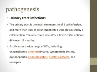• Other infections
• Other miscellaneous E coli infections include septic
arthritis, endophthalmitis, suppurative thyroidi...