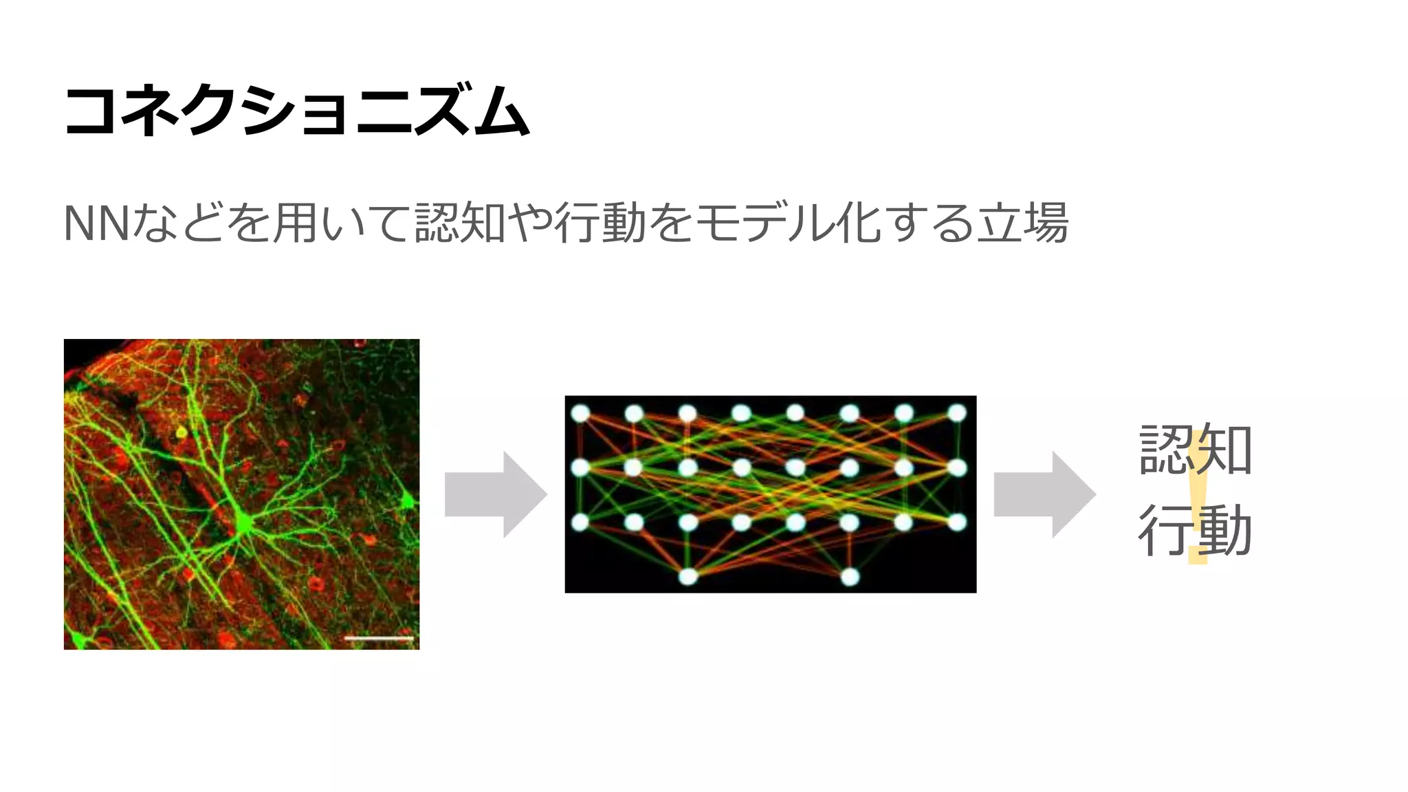 コネクショニズム
NNなどを用いて認知や行動をモデル化する立場
!認知
行動
 
