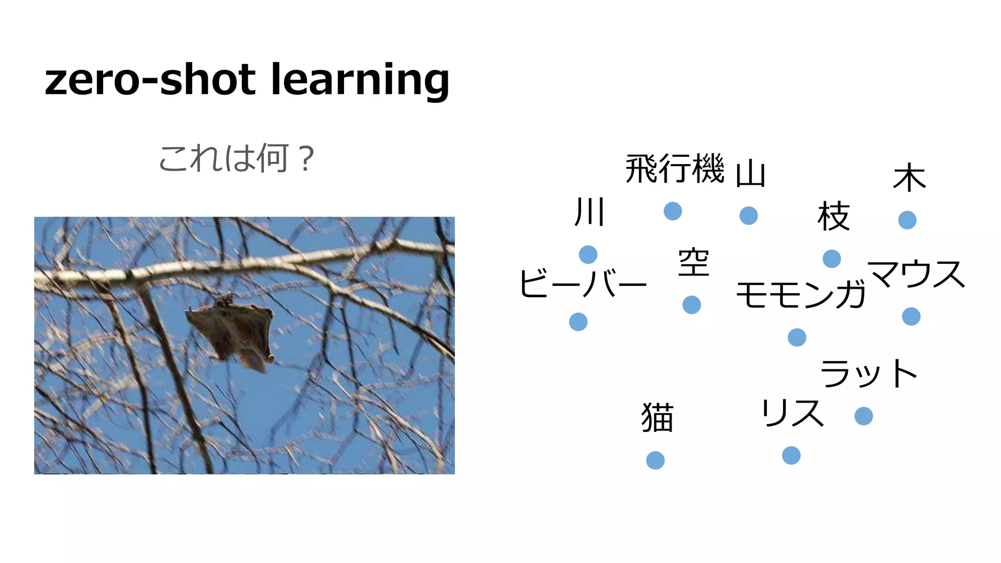 zero-shot learning
これは何？
空
リス
モモンガ
枝
飛行機 木山
猫
ラット
マウスビーバー
川
 