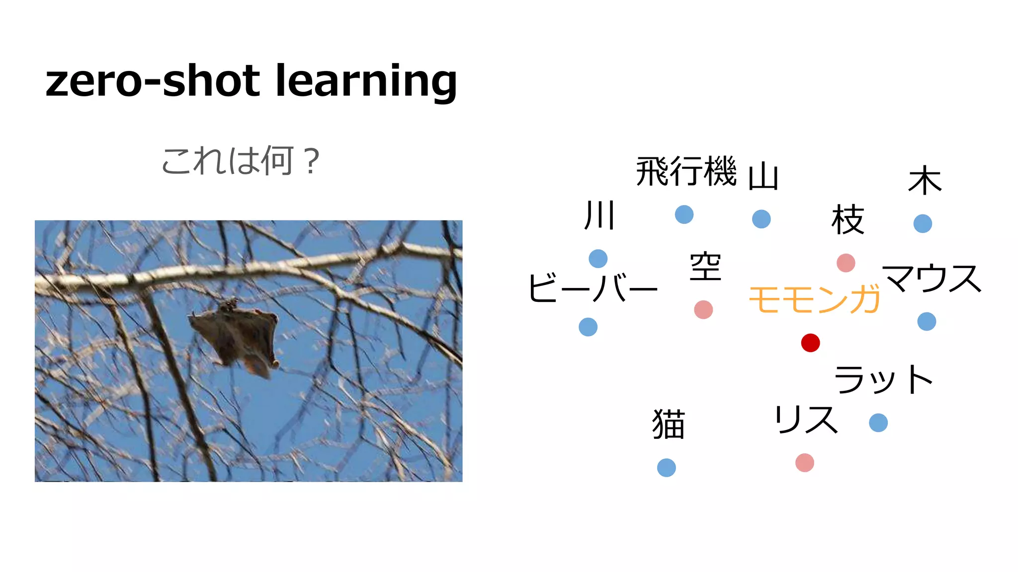 zero-shot learning
これは何？
空
リス
モモンガ
枝
飛行機 木山
猫
ラット
マウスビーバー
川
 