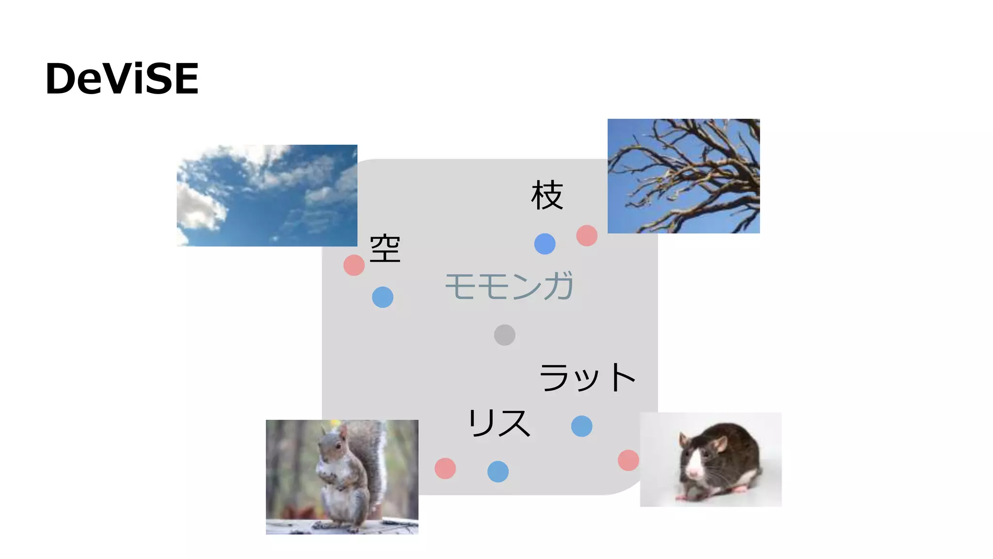 DeViSE
空
リス
モモンガ
枝
ラット
 