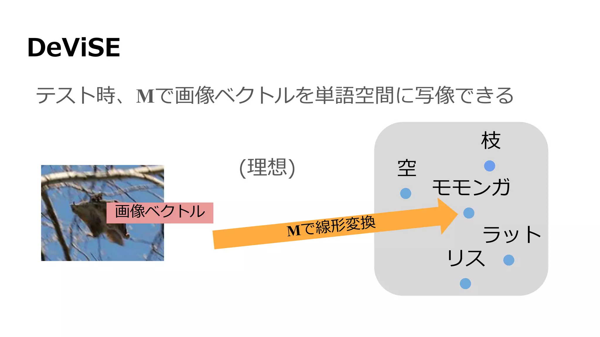 DeViSE
空
リス
モモンガ
枝
ラット
画像ベクトル
テスト時、Mで画像ベクトルを単語空間に写像できる
(理想)
 