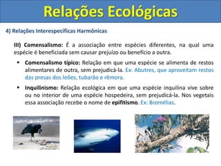 4) Relações Interespecíficas Harmônicas
III) Comensalismo: É a associação entre espécies diferentes, na qual uma
espécie é beneficiada sem causar prejuízo ou benefício a outra.
 Comensalismo típico: Relação em que uma espécie se alimenta de restos
alimentares de outra, sem prejudicá-la. Ex: Abutres, que aproveitam restos
das presas dos leões, tubarão e rêmora.
 Inquilinismo: Relação ecológica em que uma espécie inquilina vive sobre
ou no interior de uma espécie hospedeira, sem prejudicá-la. Nos vegetais
essa associação recebe o nome de epifitismo. Ex: Bromélias.
Relações Ecológicas
 