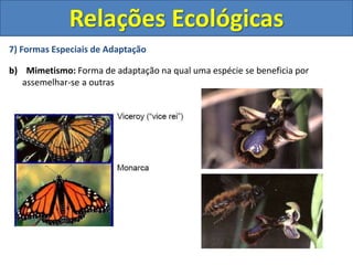7) Formas Especiais de Adaptação
b) Mimetismo: Forma de adaptação na qual uma espécie se beneficia por
assemelhar-se a outras
Relações Ecológicas
 