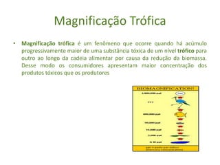 Magnificação Trófica
• Magnificação trófica é um fenômeno que ocorre quando há acúmulo
progressivamente maior de uma substância tóxica de um nível trófico para
outro ao longo da cadeia alimentar por causa da redução da biomassa.
Desse modo os consumidores apresentam maior concentração dos
produtos tóxicos que os produtores
 