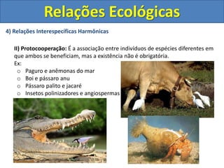 4) Relações Interespecíficas Harmônicas
II) Protocooperação: É a associação entre indivíduos de espécies diferentes em
que ambos se beneficiam, mas a existência não é obrigatória.
Ex:
o Paguro e anêmonas do mar
o Boi e pássaro anu
o Pássaro palito e jacaré
o Insetos polinizadores e angiospermas
Relações Ecológicas
 