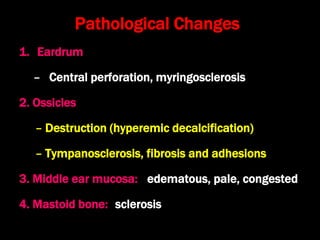 Pathological Changes
1. Eardrum
– Central perforation, myringosclerosis
2. Ossicles
– Destruction (hyperemic decalcification)
– Tympanosclerosis, fibrosis and adhesions
3. Middle ear mucosa: edematous, pale, congested
4. Mastoid bone: sclerosis
 