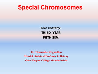 Special Chromosomes
B.Sc. (Botany)
THIRD YEAR
FIFTH SEM
Dr. Thirunahari Ugandhar
Head & Assistant Professor in Botany
Govt. Degree College Mahabubabad
 