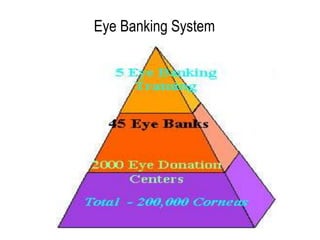Eye Banking System
 