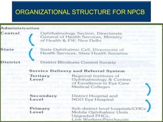 ORGANIZATIONAL STRUCTURE FOR NPCB
 