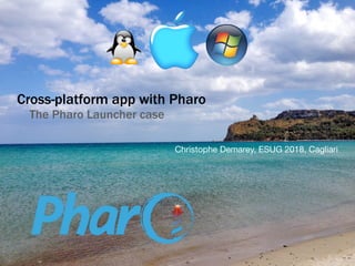 Cross-platform app with Pharo
The Pharo Launcher case
Christophe Demarey, ESUG 2018, Cagliari
 