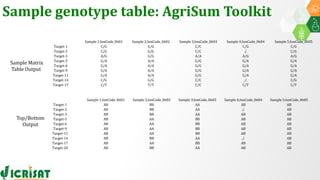 Research Program Genetic Gains (RPGG) Review Meeting 2021: Forward Breeding: tools and technologies for accelerating rate of genetic gain By Dr Manish Roorkiwal